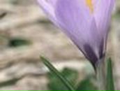 Наталі Маргіта фотография #26 (источник - https://vk.com/id65971534)