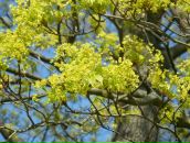 Дмитрий Шиляев фотография #7 (источник - https://vk.com/id3479767)