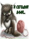 Фотография Владовой Юли