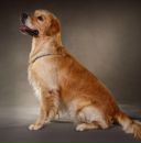 Фотография Вихровой Татьяны