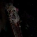 Жанна Іванюк фотография #1