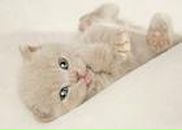 Христя Савшак фотография #3 (источник - https://vk.com/id73275571)