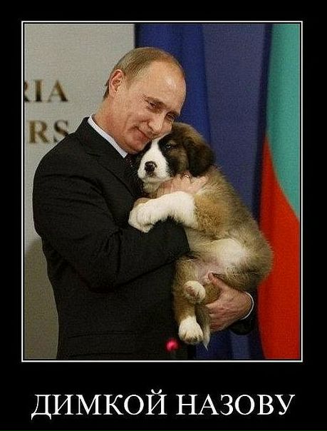 Дмитрий Евгеньевич фото №5