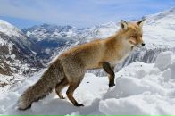 Фотография Ячиной Анастасии