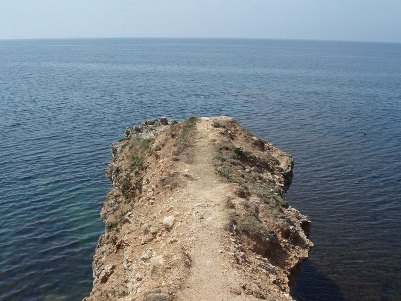 Дмитрий Тх фотография #23