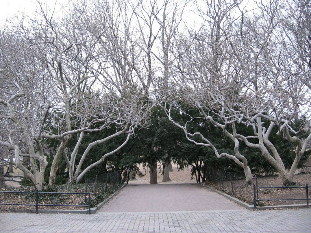 Виктор Авдеев фотография #39