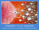Виктор Романов фотография #42 (источник - https://vk.com/id70535488)