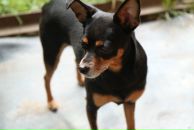 Фотография Шмидт Яны