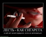 Фотография Лойко Светланы