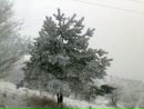 Лілька Котик фотография #40 (источник - https://vk.com/id143664386)