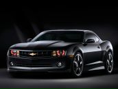 Фотография Volkov Dmitrii