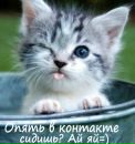 Діма Походенько фотография #13 (источник - https://vk.com/id162192981)