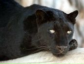 Фотография Соболевой Натальи