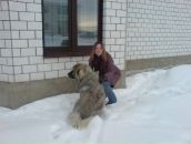 Фотография Фомина Дмитрия