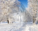 Фотография Голубевой Алины