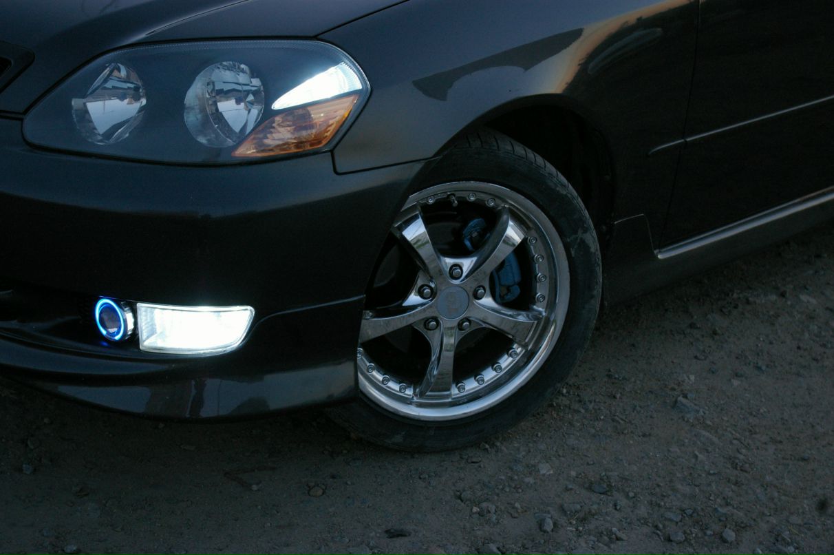 Вячеслав Кисель фотография #33