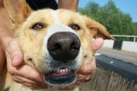 Фотография Павлова Юрия