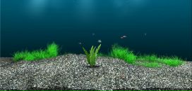 Настуся Чайківська фотография #6 (источник - https://vk.com/id62161139)