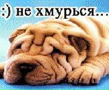 Анатолій Сухоставець фотография #2 (источник - https://vk.com/id123773262)