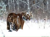 Фотография Sotnikov Alexandr