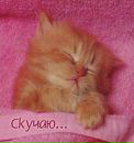 Фотография Кругликовой Светланы