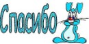 Алёша Айсберг фотография #41 (источник - https://vk.com/id83589411)