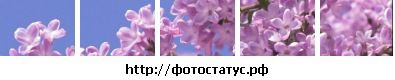 Віка Намозова фотография #1