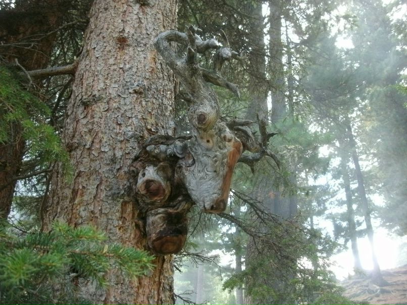 Монгуш Монгуш фотография #12