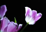 Андрюха Кіптель фотография #20 (источник - https://vk.com/id3545054)