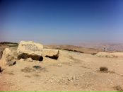 Дмитрий Алексеев фотография #18 (источник - https://vk.com/id488410)