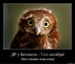 Фотография Лепехина Александра