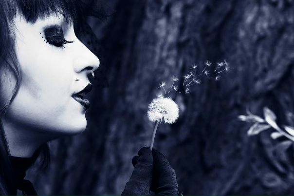 Maleficent Gd фото №1