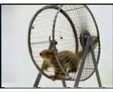 Фотография Сероглазовой Анастасии