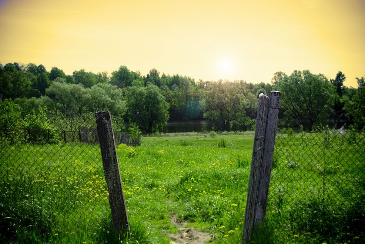 Дима Тульцев фотография #25