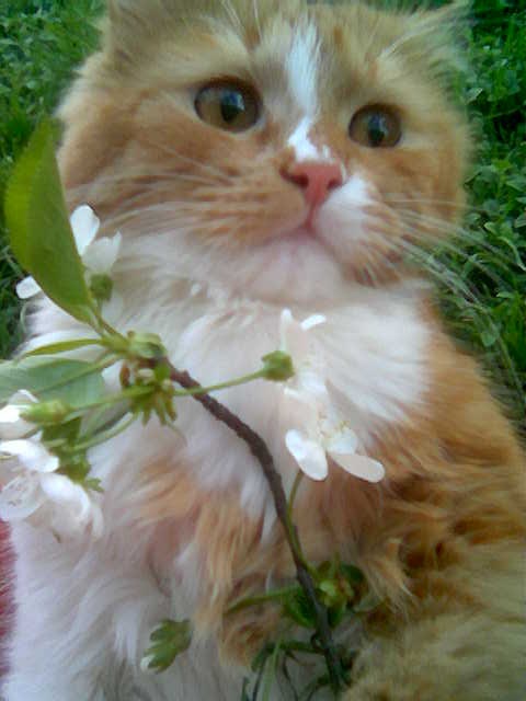 Сергей Соломыкин фотография #6