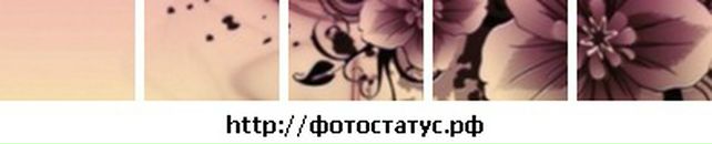 Діанка Олашин фотография #38 (источник - https://vk.com/id68445634)