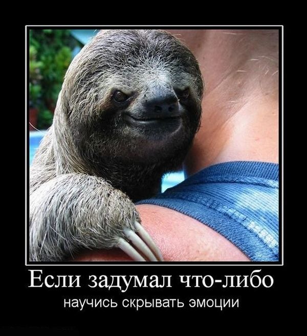 Александр Дмитриев фотография #33