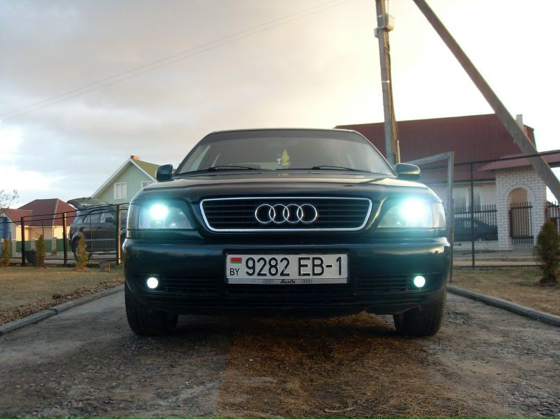 Денис Ковалевич фотография #24