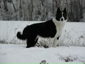 Фотография Тяпкиной Галины