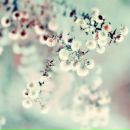 Фотография Тугушев Александр