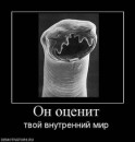 Юрій Лисий фотография #32 (источник - https://vk.com/id50758008)
