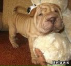 Фотография Головиной Марии