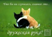 Ольга Бондурівська фотография #23 (источник - https://vk.com/id153508025)
