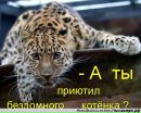 Фотография Румба Макс-Александер