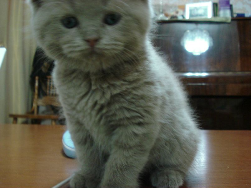 Милана Умарова фотография #11