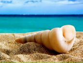 Фотография Гимадеевой Алины