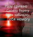 Морічка Малета фотография #4 (источник - https://vk.com/id178447083)