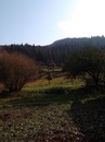 Андрій Мавдрик фотография #15 (источник - https://vk.com/id153082874)