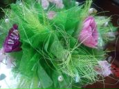 Вікторія Серватович фотография #41 (источник - https://vk.com/id85264497)