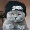 Віка Цимбал фотография #4 (источник - https://vk.com/id124940765)
